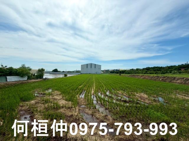 苗栗竹南農地-0