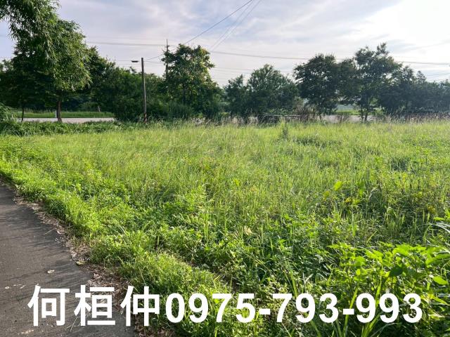 峨眉農地-2