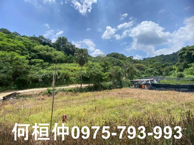 苗栗休閒地-0