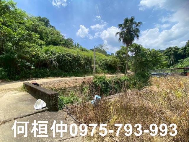 苗栗休閒地-2