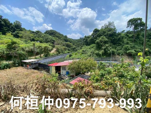 苗栗休閒地-8