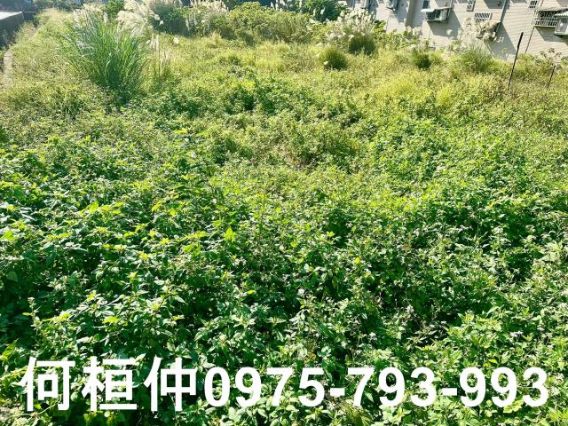 頭份建地-5