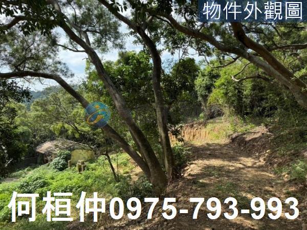 苗栗通霄農地-0