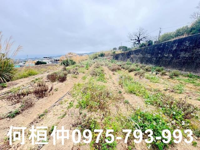苗栗銅鑼農地-13