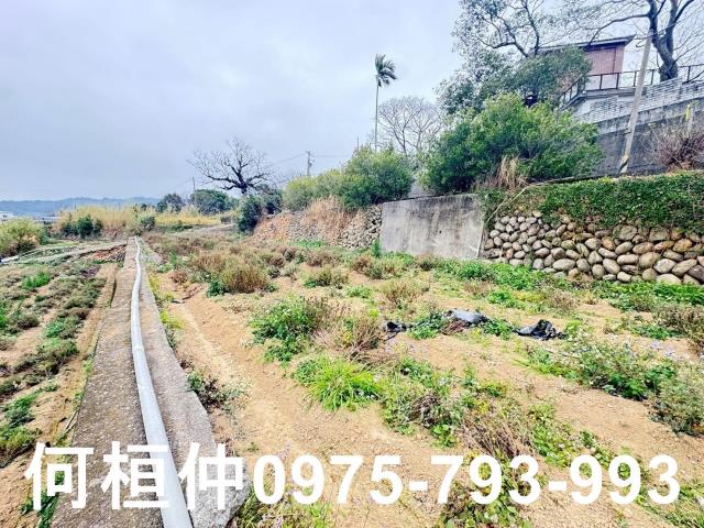 苗栗銅鑼農地-5