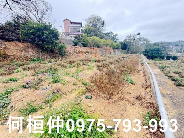 苗栗銅鑼農地-7