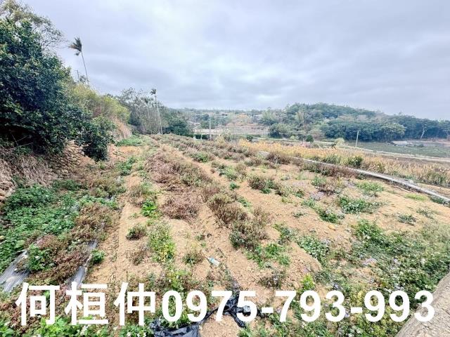 苗栗銅鑼農地-8