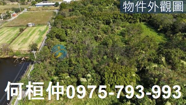 苗栗通霄農地-0