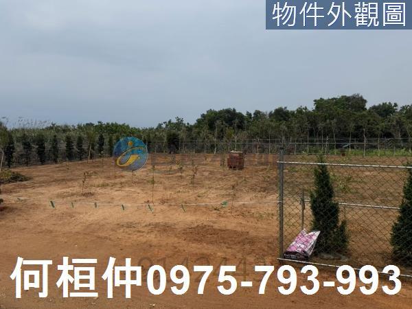 苗栗通霄農地-0