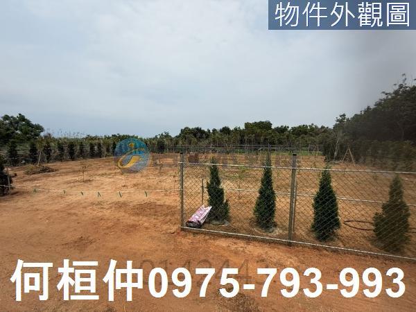 苗栗通霄農地-4
