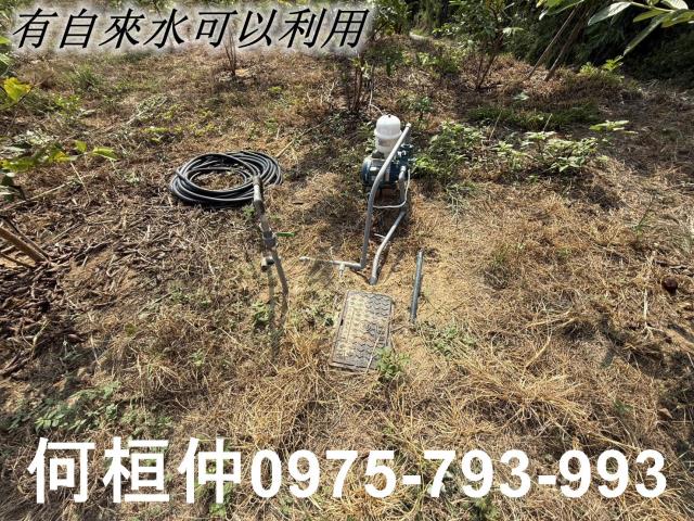苗栗苑裡農地-10