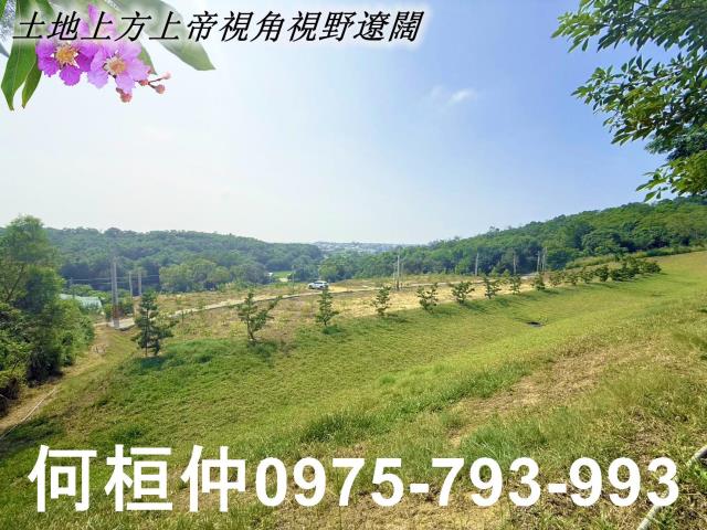 苗栗苑裡農地-0