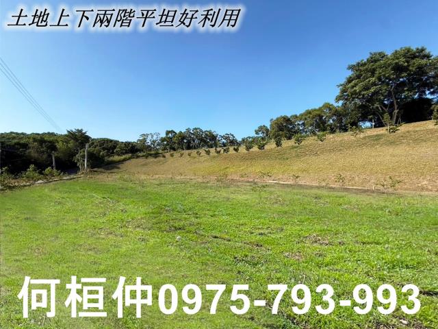 苗栗苑裡農地-2