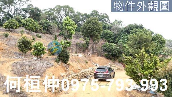苗栗通霄農地-2
