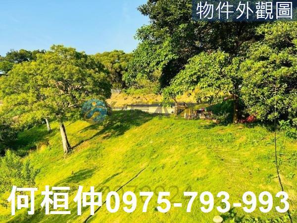 通霄農地-3