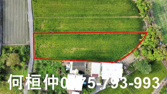 公館農地-9