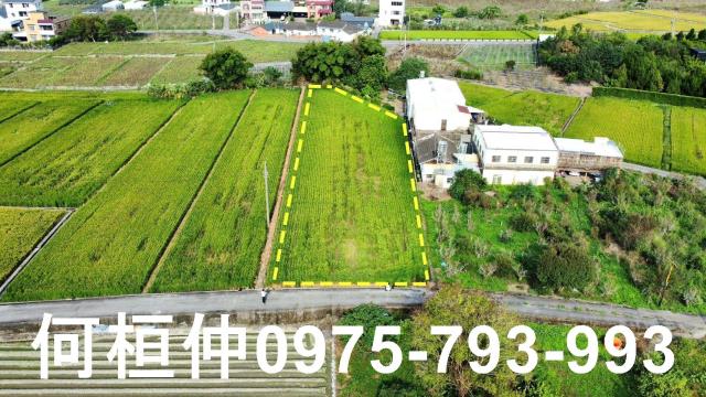 公館農地-0