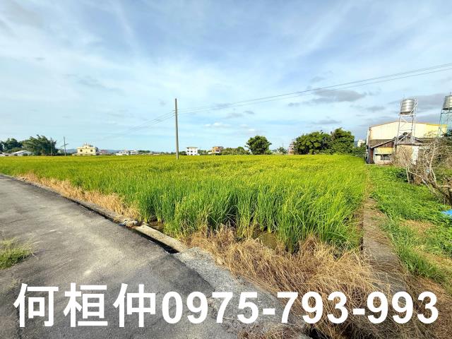 公館農地-7