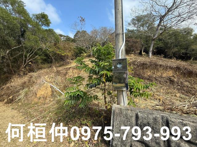 通霄農地-4