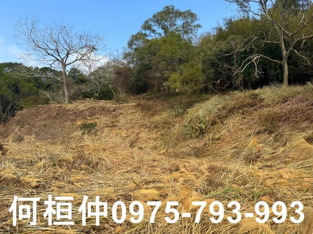 通霄農地-8