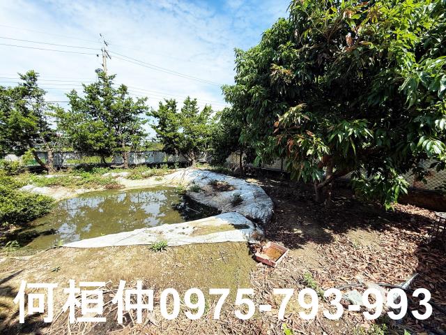 公館農地-10