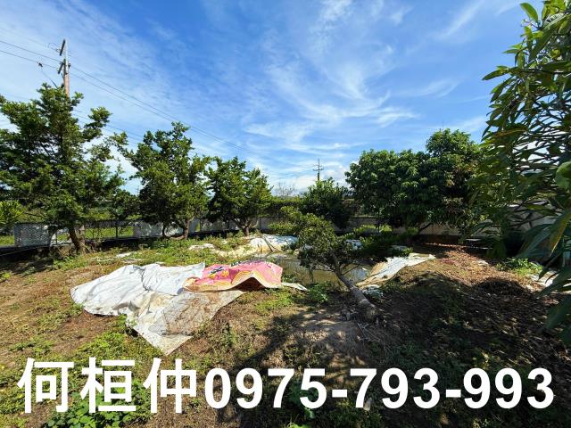 公館農地-11