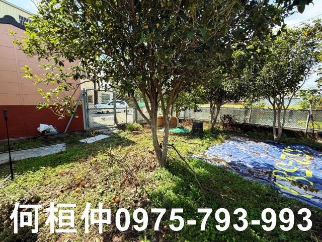 公館農地-12