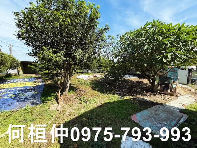 公館農地-3