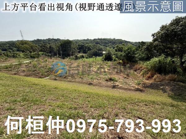 苑裡農地-2