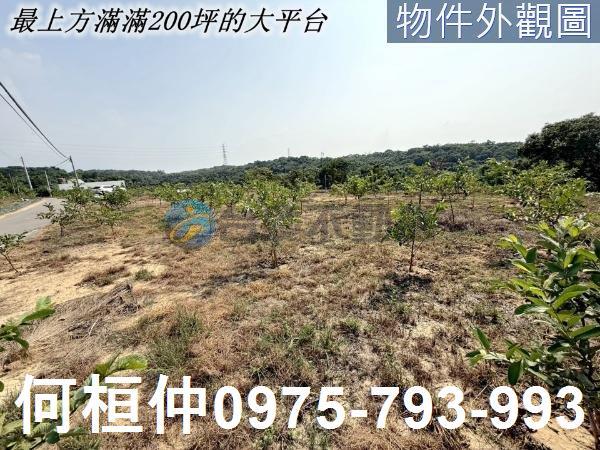 苑裡農地-5