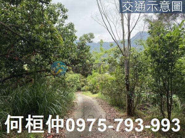 苗栗農地-3