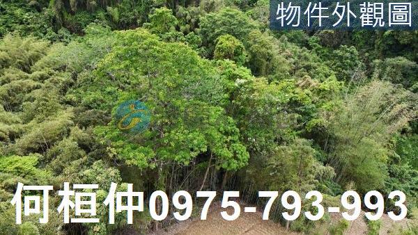 苗栗農地-4