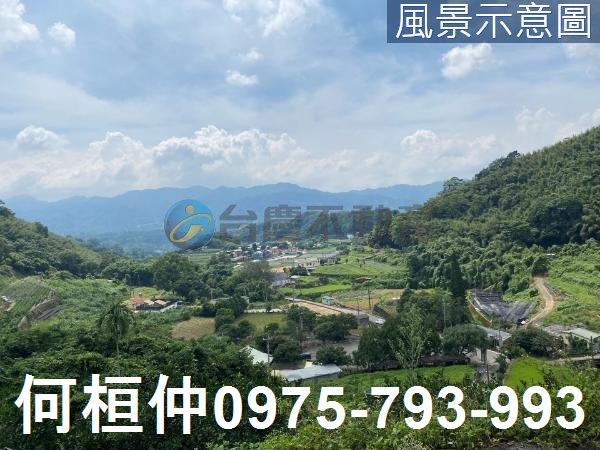 苗栗大湖農地-13