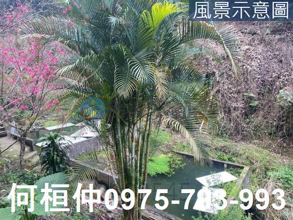 苗栗大湖農地-0