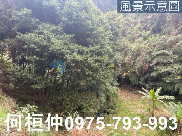 苗栗大湖農地-7