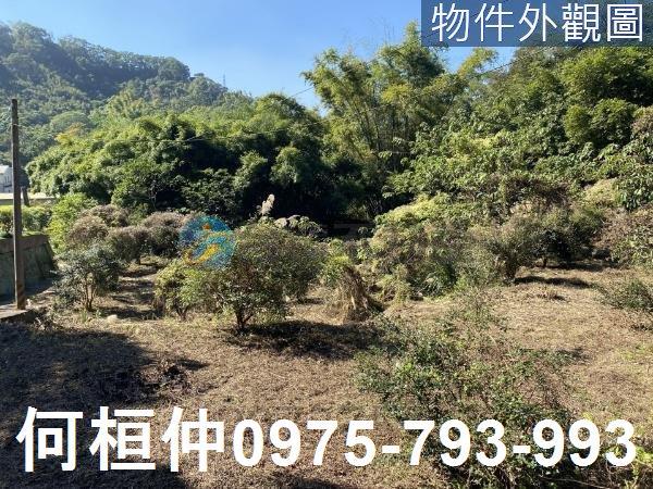 苗栗公館農地-0