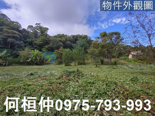 苗栗三灣農地-4