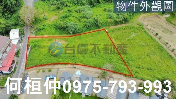 苗栗南庄建地-0