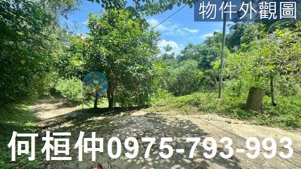 苗栗三灣農地-2