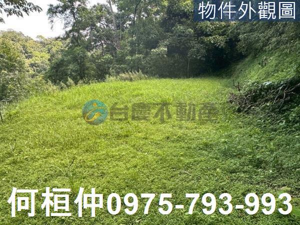 苗栗三灣農地-5