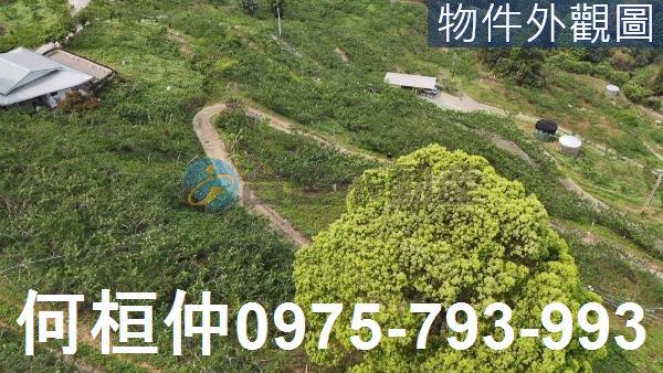苗栗大湖農地-0