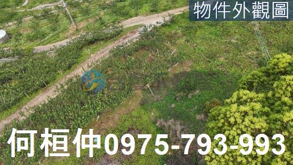 苗栗大湖農地-2