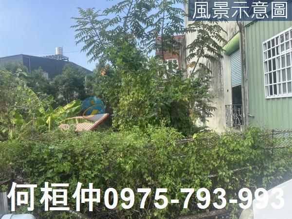 苗栗三灣建地-1