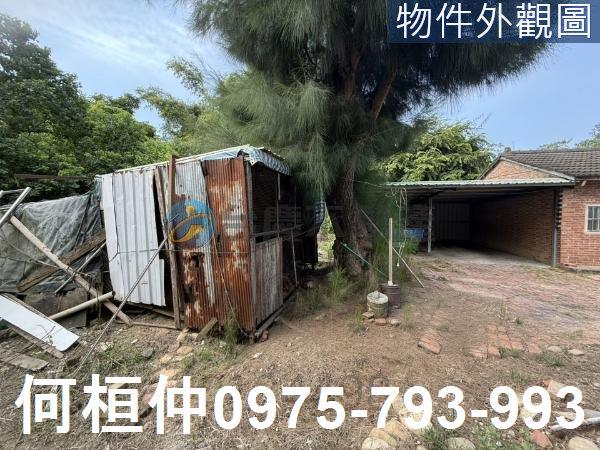 苗栗通霄建地-2